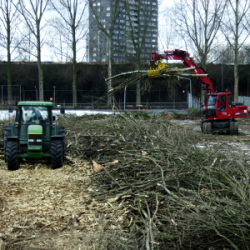 3_4-300x300 3_4-300x300