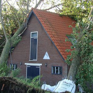 Boomverzorging-stompetoren-3-600x340 Boomverzorging-stompetoren-3-600x340
