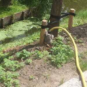 Untitled-1 Untitled-1