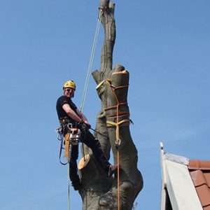 Untitled-2 Untitled-2