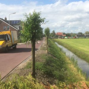 bomen-planten-1-600x600 bomen-planten-1-600x600